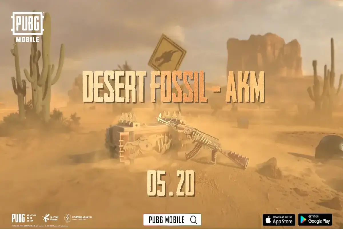 اسکین اسلحه Desert Fossil – AKM
