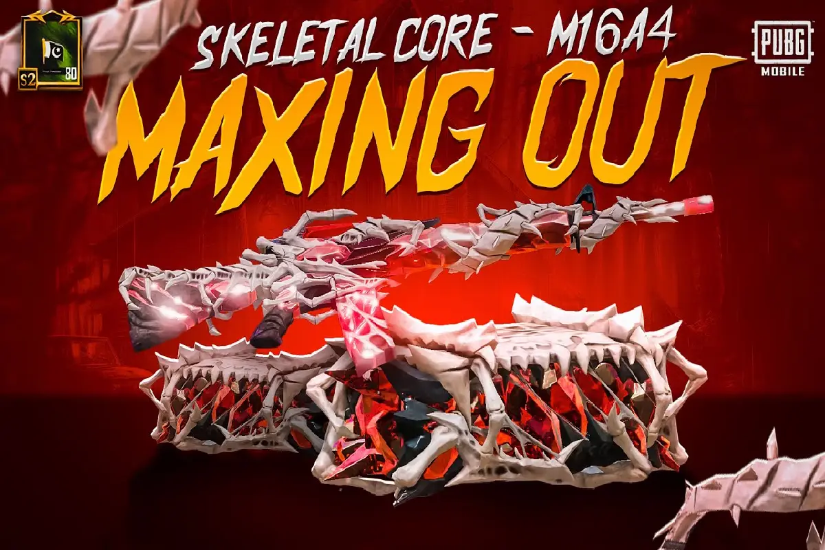 اسکین اسلحه Skeletal Core – M16A4